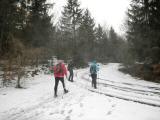 Wanderweg durch den Wald des Tabors 