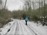  Wanderweg durch den Wald des Tabors 