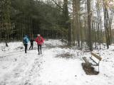  Wanderweg durch den Wald des Tabors 