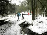  berquerung des Hirschbachs 