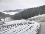  Wanderroute durch das Untertautendorferamt 
