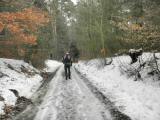  Wanderweg durch den Wald Burgholz 