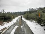  Wanderweg durch den Wald Burgholz 