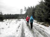  Wanderweg durch den Wald Burgholz 