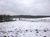  der Blick zurck ber die Riede Donnerreith 
