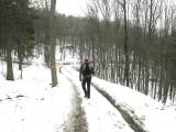  auf schneebedeckten Wanderwegen ...... 