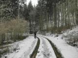  .... ins Hirschbachtal 