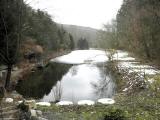  schner Fischteich im Hirschbachtal 