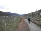  Wanderweg Richtung Wsendorf 