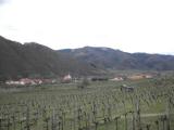  Fernblick nach Wsendorf 