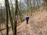  Wanderroute am Michaelerberg 