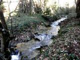  der Mieslingbach 