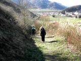  bergab nach Spitz an der Donau 