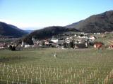  schner Fernblick nach Spitz an der Donau 