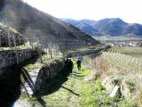 bergab nach Spitz an der Donau 