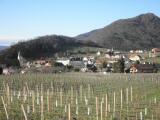  schner Fernblick nach Spitz an der Donau 
