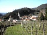  Blick nach Spitz an der Donau 