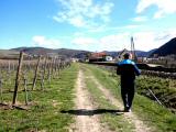 Wanderroute entlang der Wachaubahn nach Weienkirchen 