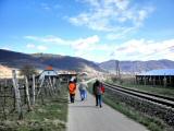 Wanderroute entlang der Wachaubahn nach Weienkirchen 