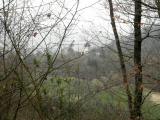  Fernblick zur Burg Oberranna - Bild gezoomt 