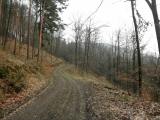  Gterweg bergan auf dem Fohraberg 