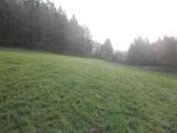  bergan nach Bengelbach 