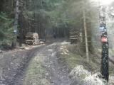  Wanderweg bergan nach Wolfenreith 