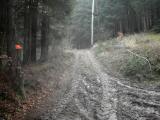  Wanderweg bergan nach Wolfenreith 