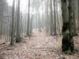  Wanderweg bergan nach Wolfenreith 