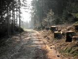  Wanderweg zum Blocherleitengraben 