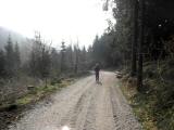 Wanderweg bergab in den Blocherleitngraben 