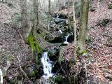  der Mieslingach 