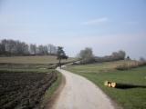  Wanderweg auf der Hochebene 