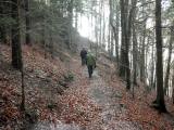  Wanderweg bei der Brenwand 