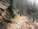  Wanderweg bei der Brenwand 