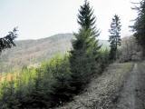  ein Blick zurck 