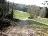  bergab auf schnen Waldwegen 