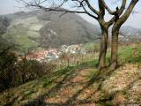  Fernblick nach Elsarn am Jauerling 