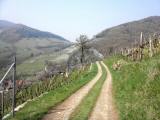  Wanderroute auf dem  Panoramaweg 