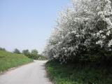  Wanderroute bern Bckergraben 