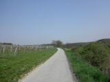  Wanderroute durch die Riede Auflangeln 