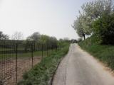  Wanderweg entlang des Wildparks Schwarz 