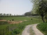  Wildpark Schwarz 