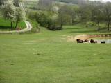  Wildpark Schwarz 