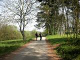  Wanderroute duch die Riede Spiegel 