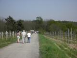  Wanderweg zur 3. Station 