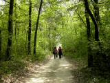  schner Wanderweg 