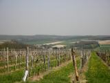  Fernblick nach Unterthern 