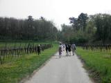  Wanderweg ber den Windberg 