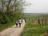  Wanderroute durch die Riede Windberg 
